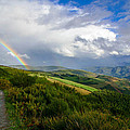 The Way